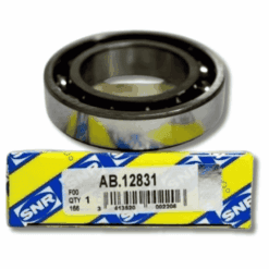 DEFRANSİYEL RULMANI KÜÇÜK R9-R11-SAXO-P106 (SNR AB12831)