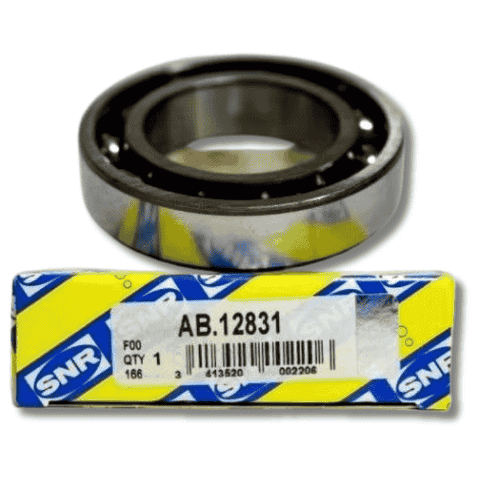 DEFRANSİYEL RULMANI KÜÇÜK R9-R11-SAXO-P106 (SNR AB12831)